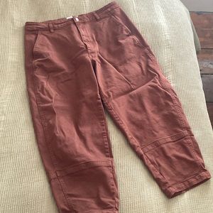 Everlane Utility Barrel Pant